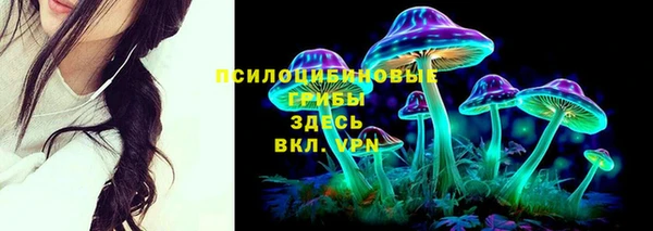 молекула духа Алзамай