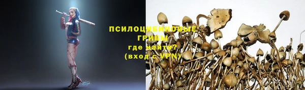 бошки Алексеевка