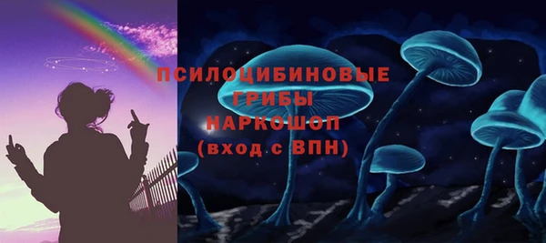 бошки Алексеевка