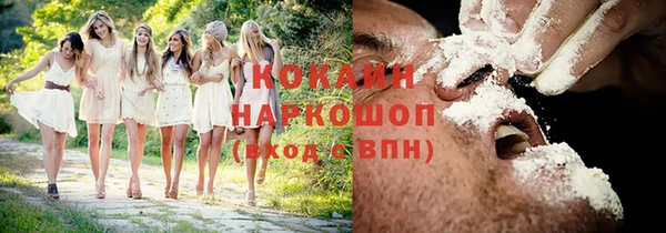 крисы Медногорск