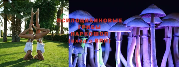 бошки Алексеевка